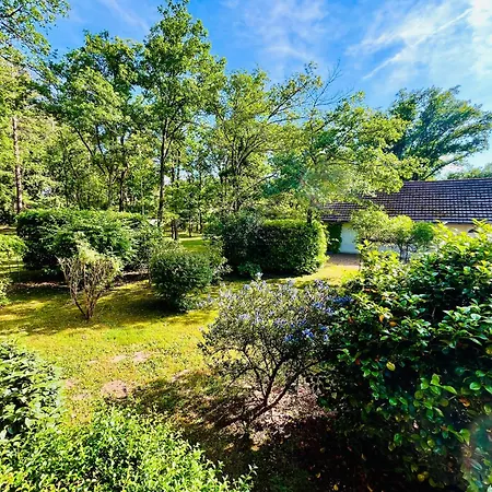 Maison Atypique, Parc Arbore, 3 *
